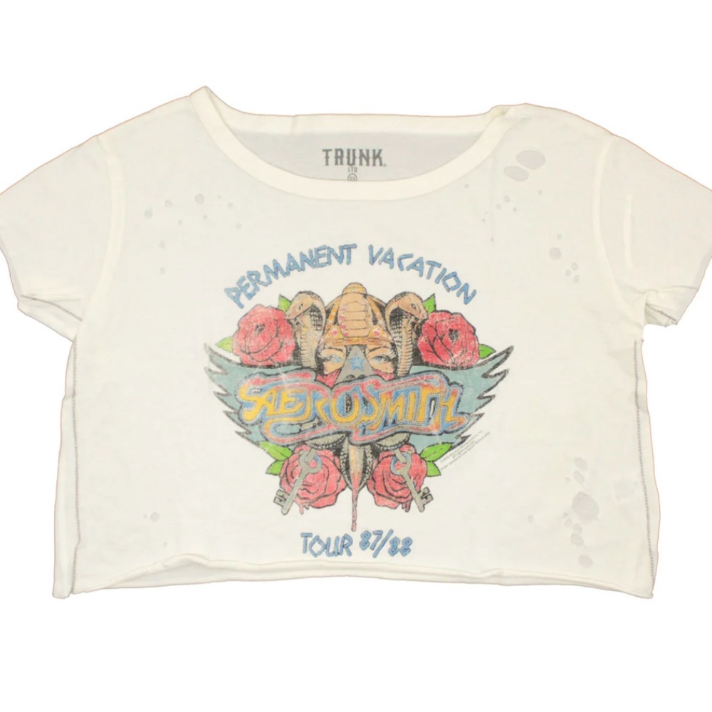 Aerosmith Permanent Vacation Tour Cropped Distressed T Shirt size M